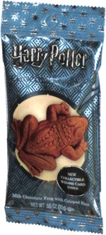 harry potter chocolate frog pillow