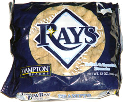 Tampa Bay Rays Peanuts Snoopy x Tampa Bay Rays Style 5 Custom